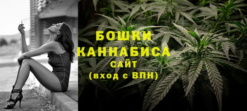 Бошки Шишки White Widow  Бородино 